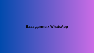 База данных WhatsApp