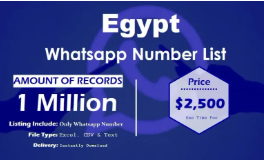 Egypt WhatsApp Number Data