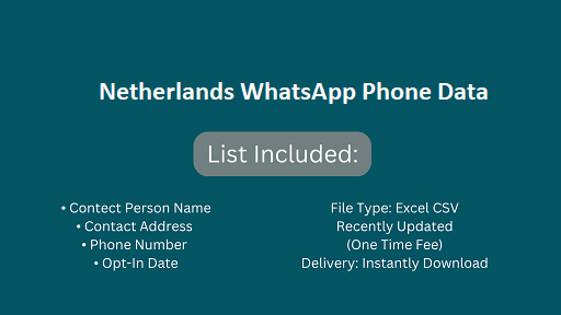 Netherlands WhatsApp Phone Data