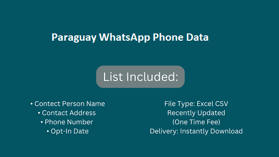 Paraguay WhatsApp Phone Data​